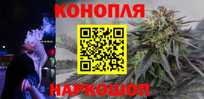 сатива Абинск