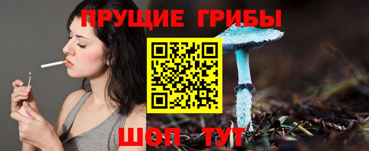 Алейск  Галлюциногенные грибы ЛСД  Галлюциногенные грибы MAGIC MUSHROOMS  Вход с VPN 